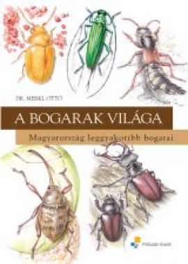 A bogarak világa - Magyarország leggyakoribb bogarai